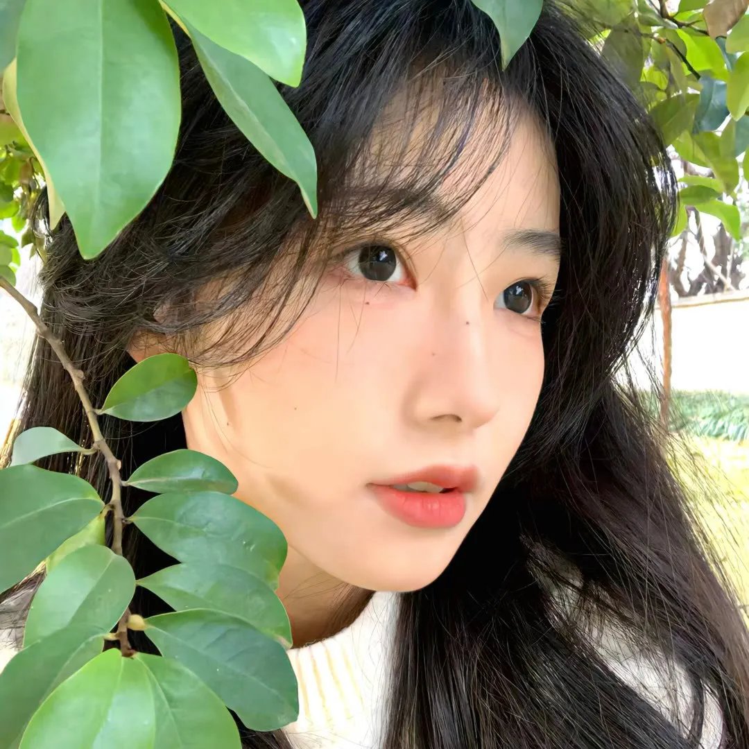 歌声泪痕